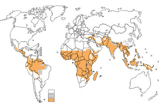 malária prevenção, como evitar a malaria, prevenção malária viajantes, profilaxia da malaria, tratamento da malaria, malaria causas e consequências, cura da malaria, causas da malaria, consequencias da malaria