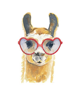 lhama de oculos alpaca de oculos oculos de coração