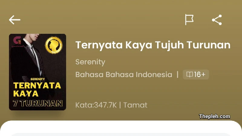 Novel Ternyata Kaya Tujuh Turunan Full Bab