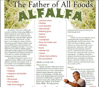 Alfalfa+Shaklee Alfalfa Complex,alfalfa kecil,alfalfa besar,alfalfa complex,produk shaklee terbaik,kebaikan alfafa complex,fungsi alfalfa complex,harga alfalfa complex,shaklee malaysia,shaklee selangor,shaklee klang,shaklee andalas,shaklee kg jawa klang,shaklee sentosa klang