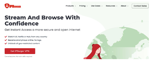 ipburger vpn
