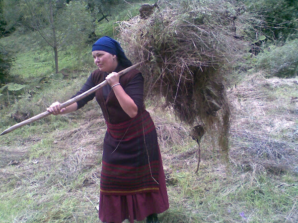 Hard working