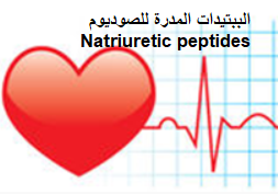 الببتيدات المدرة للصوديوم Natriuretic peptides