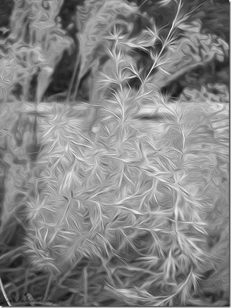 Grass_Oilpaint
