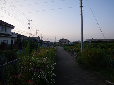 水と緑のふれあいロード