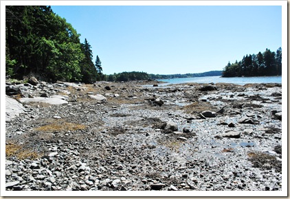 low tide coast