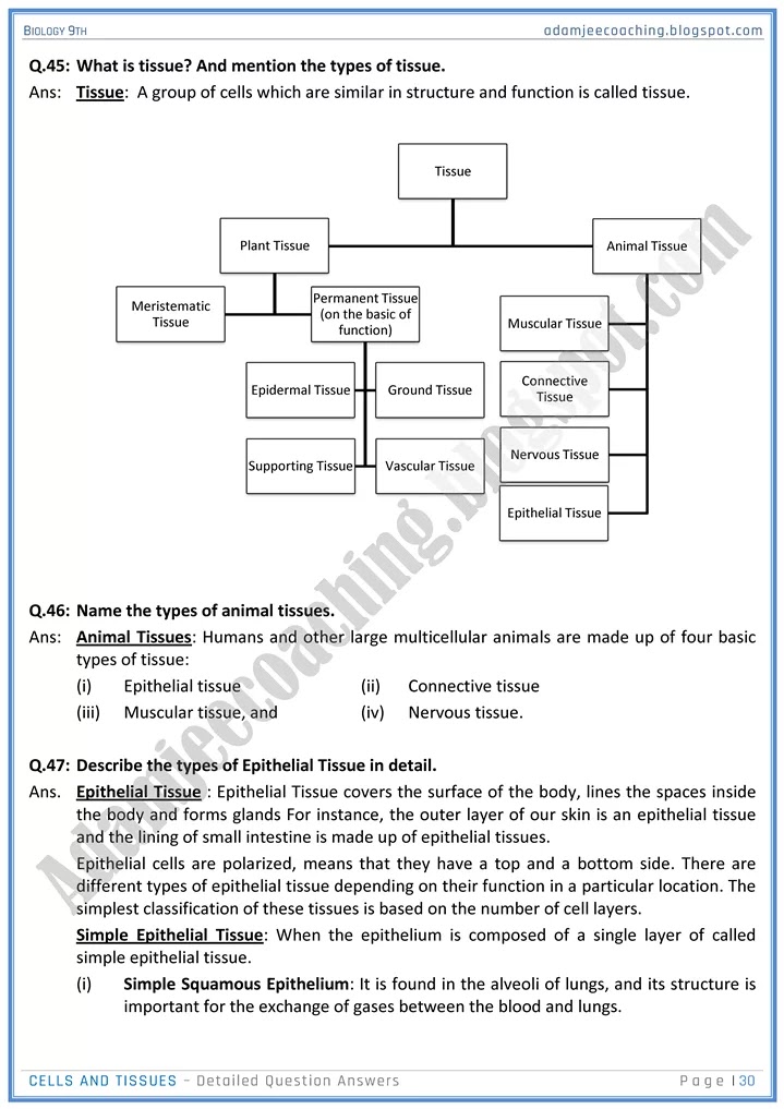 cells-and-tissues-detailed-question-answers-biology-9th