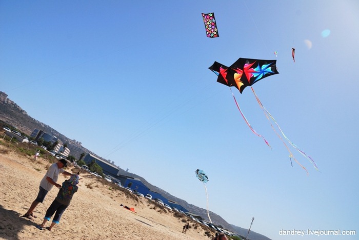 japanese-kite-festival (18)
