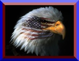 The bald eagle: America's national symbol