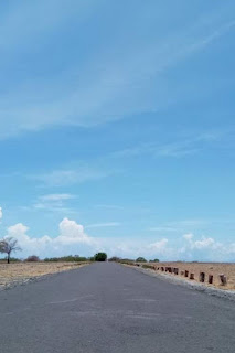 Taman Nasional Baluran - Situbondo