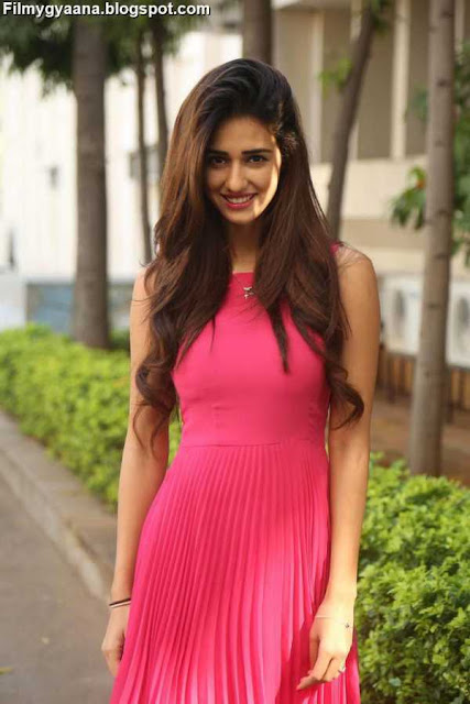 Disha Patani Pink Dress Photo