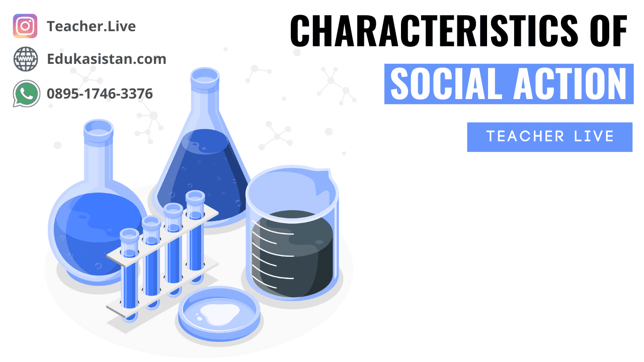 Characteristics of Social Action