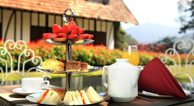 Hotel menarik percutian keluarga Cameron Highlands