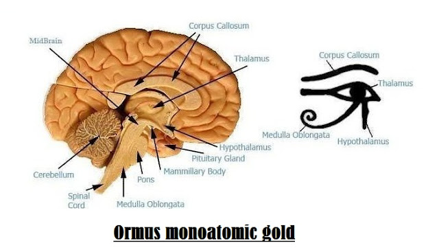 ORMEs monoatomic gold