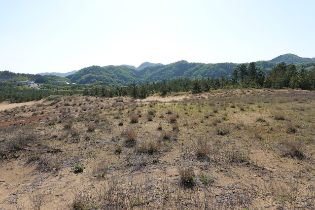 鳥取県鳥取市浜坂 鳥取砂丘