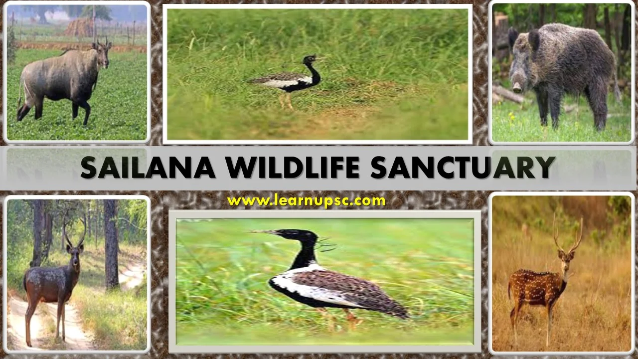 Sailana Wildlife Sanctuary