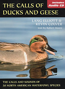 The Calls of Ducks & Geese (English Edition)
