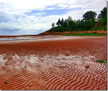 201202-w-unusual-beaches-red-sands-shore