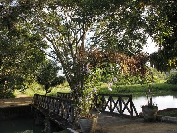 Sudema anuncia nova edição da colônia de férias no Jardim Botânico