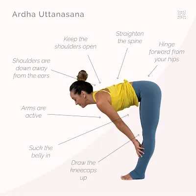 Ardha Uttanasana