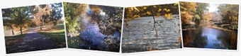 Visualizza Olmsted Park e Jamaica Pond - Boston MA