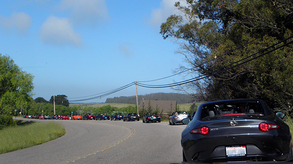 Line of Miatas on Country Road