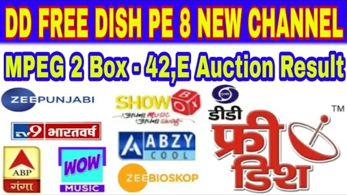 DD FREE DISH 42 Th.E AUCTION 8 NEW CHANNELS MPEG 2 SLOTS 