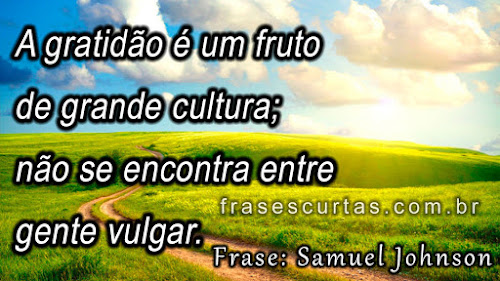 Frases sobre a Gratidão e a Cultura das Pessoas