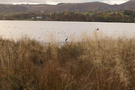 Pooley Bridge Ullswater Lake District in Autumn