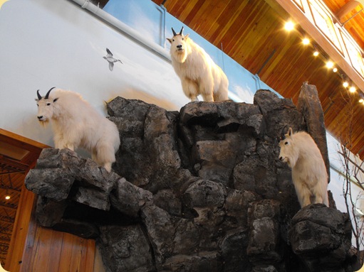 Bass Pro Shop 09 009