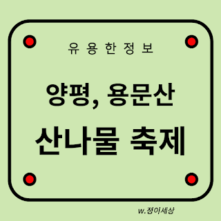 양평-용문산-산나물-축제