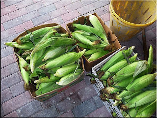 fresh corn on the cob