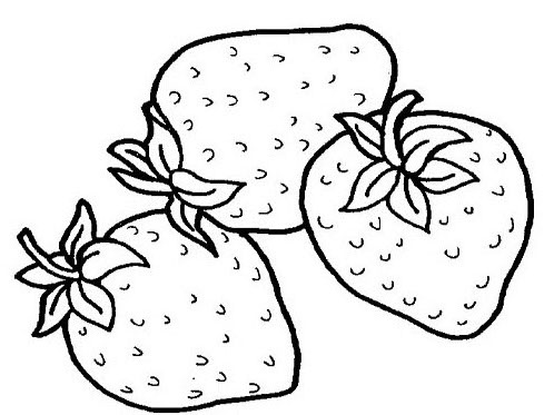Fruit Coloring Sheets 6