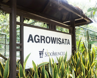 pesona-pabrik-dan-agrowisata-sido-muncul-semarang