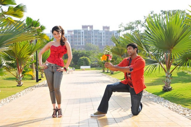 jayam ravi, tamanna bhatia, Thillalangadi Movie Latest Stills, Thillalangadi Movie Latest Photos, Thillalangadi Movie Latest Gallery, Thillalangadi Movie Latest Pics, Thillalangadi Movie Latest Images, Thillalangadi Movie Latest wallpapers, Thillalangadi Movie Latest pictures, Thillalangadi Movie Latest posters