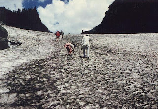 Amarnath Yatra 2010 