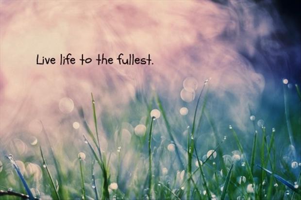  Live  Life  Quotes  Living  Life  To The Full  Quotes  Photos