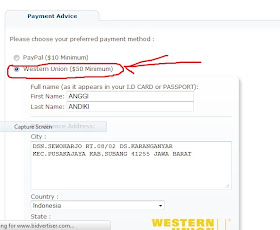 Cara Mengganti PO Bidvertiser Dari Paypal ke Wistern Union