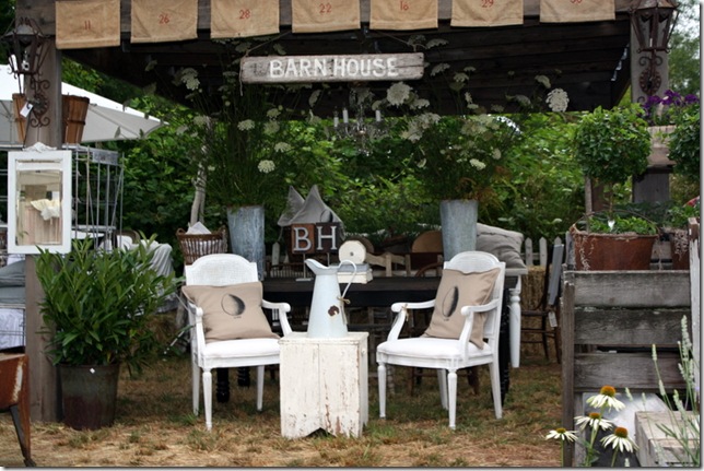 barnhouse flea 049