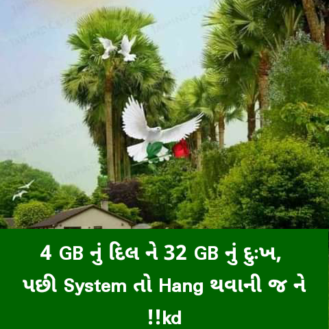 gujarati sad shayari text