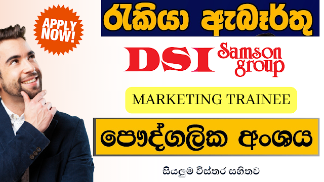 DSI Samson Group/MARKETING TRAINEE