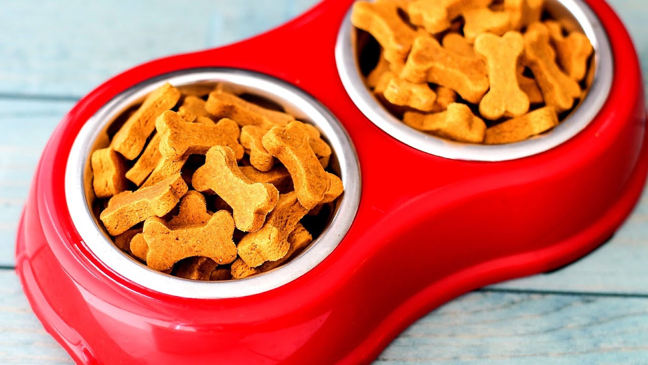 Healthiest Treats For Dogs