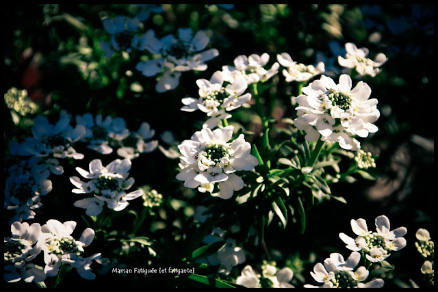 printemps maman fatiguée