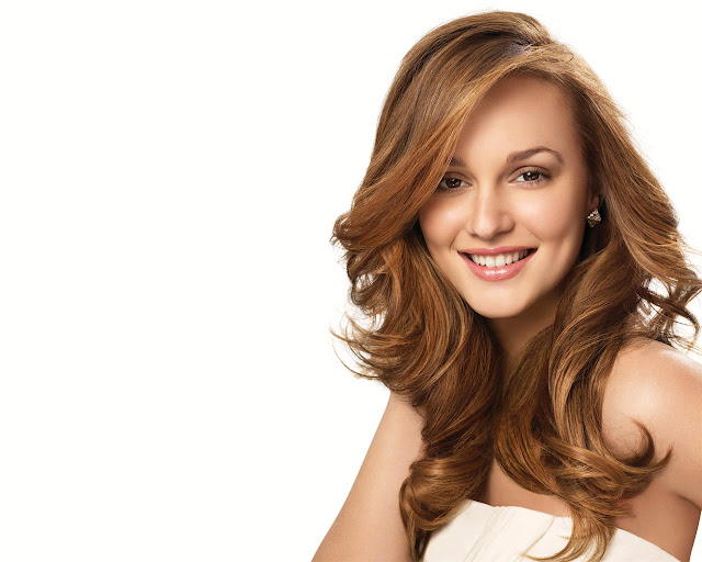 Leighton Meester Wallpapers Free Download