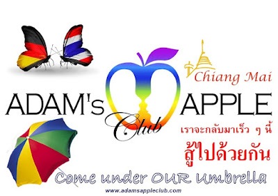 Come under OUR umbrella Gay Bar Chiang Mai