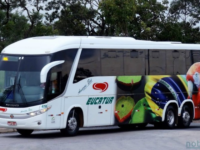imagen Viajar en bus a Brasil desde Venezuela