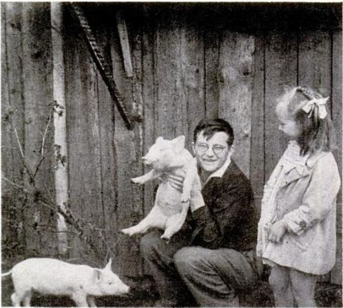 Shostakovich