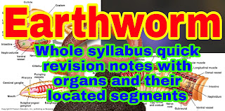 Earthworm, Taxonomic classification, Morphology of earth worms, Anatomy of Earthworm, Digestive system, Reproductive system, Excretory system, Circulatory system, forest of nephridia, Clitellum, earthworm mouth is present in, table of earthworm organs and related segments.