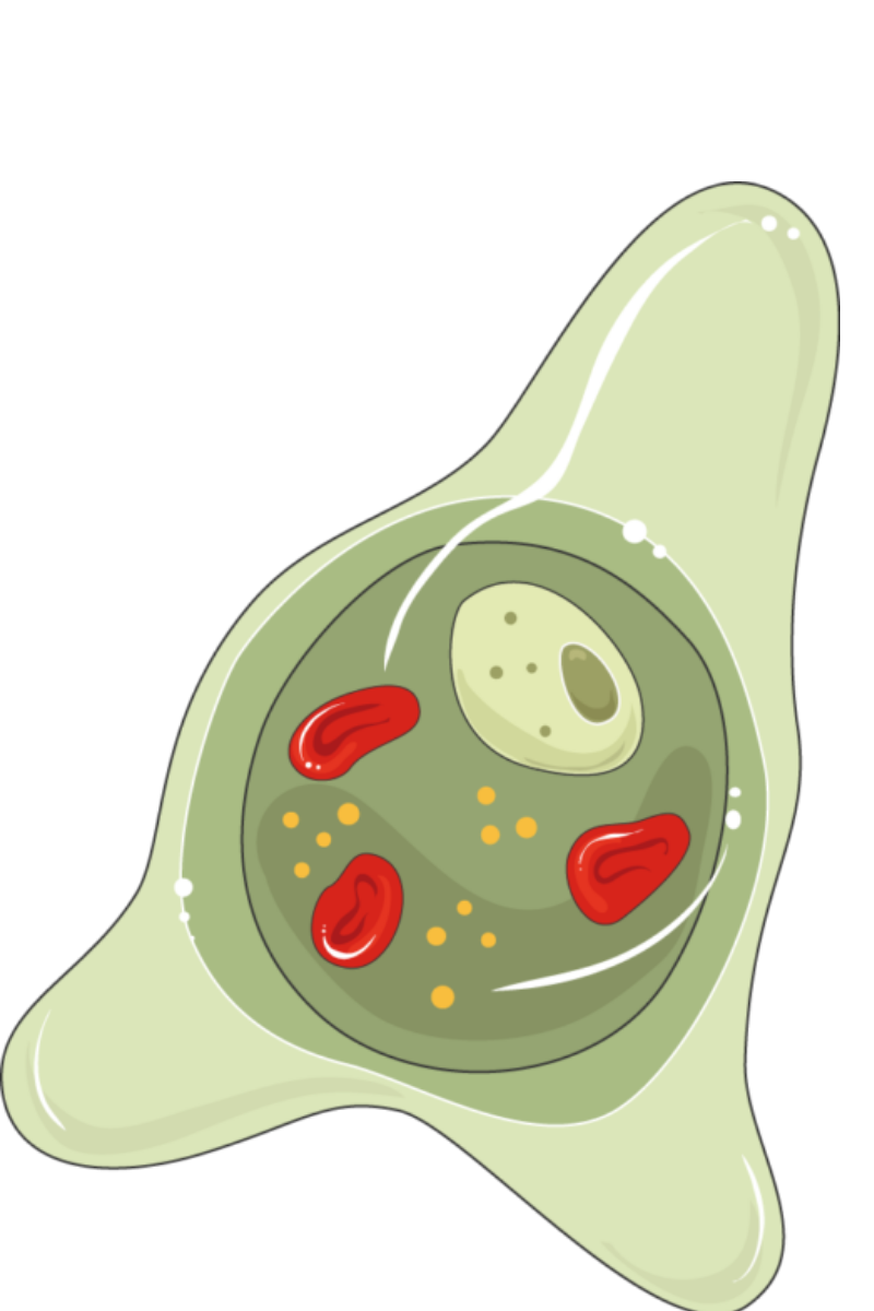 PARASITOLOGY