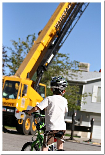 Crane 1